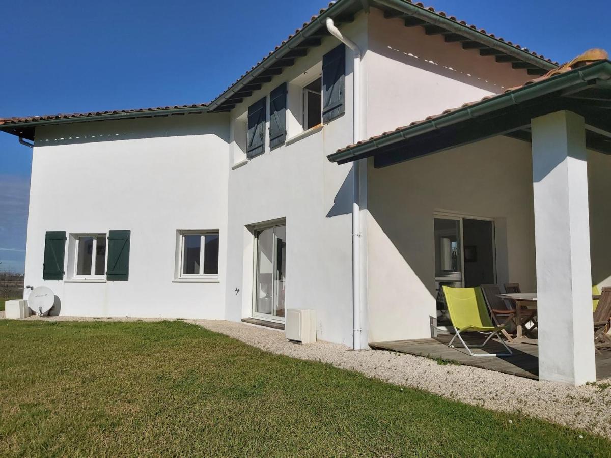Appartement 3*** Avec Jardin Et Wifi A Proximite De Saint Jean De Luz - Fr-1-239-504 Ascain Exteriör bild